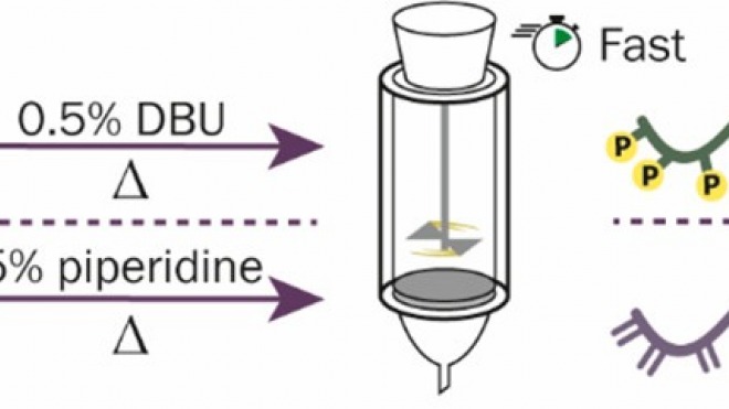Accelerated Multiphosphorylated Peptide Synthesis