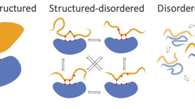 Structured-disordered interactions